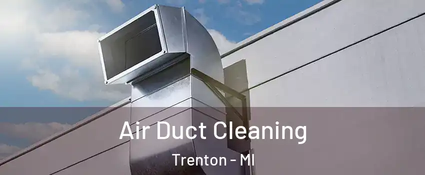  Air Duct Cleaning Trenton - MI