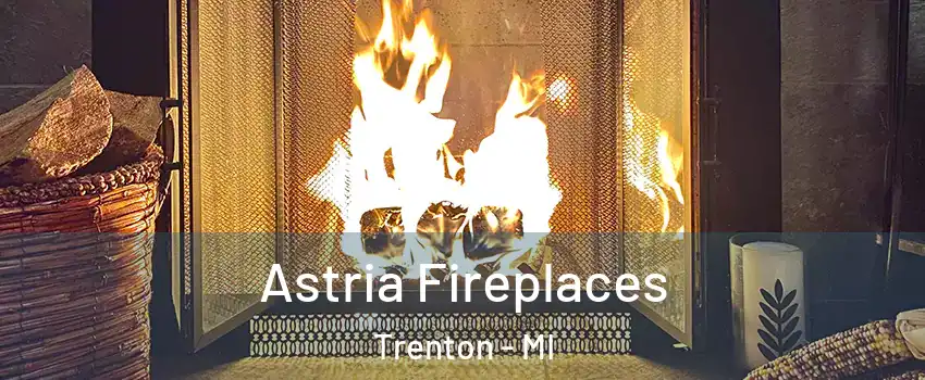  Astria Fireplaces Trenton - MI