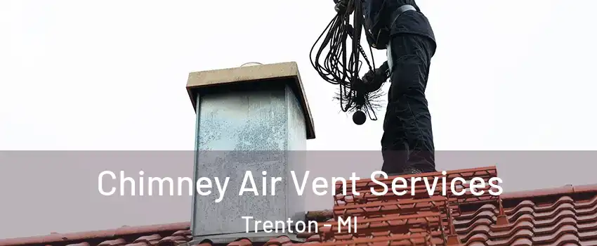  Chimney Air Vent Services Trenton - MI