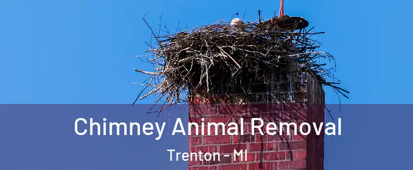  Chimney Animal Removal Trenton - MI