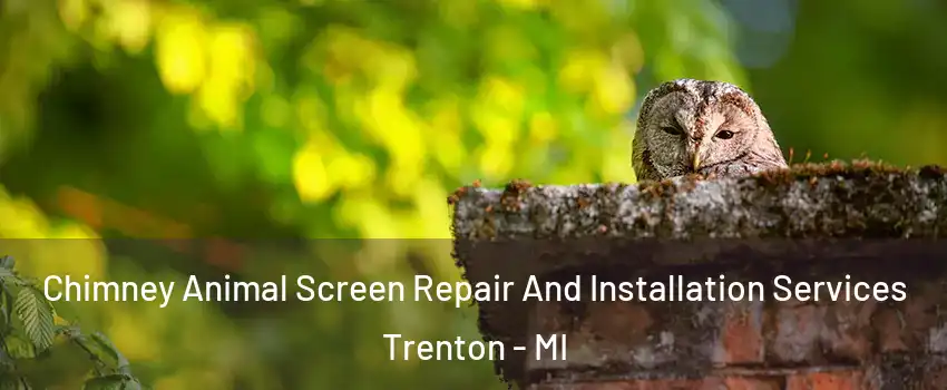 Chimney Animal Screen Repair And Installation Services Trenton - MI