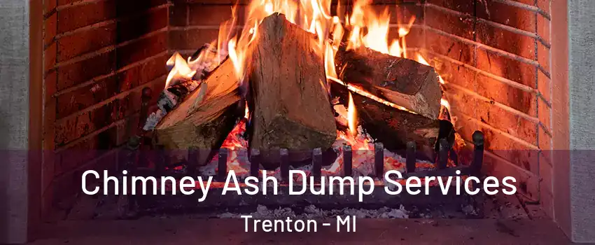  Chimney Ash Dump Services Trenton - MI