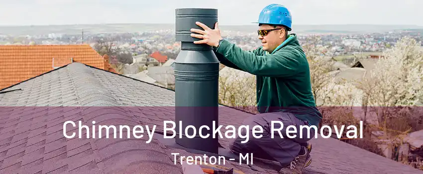 Chimney Blockage Removal Trenton - MI