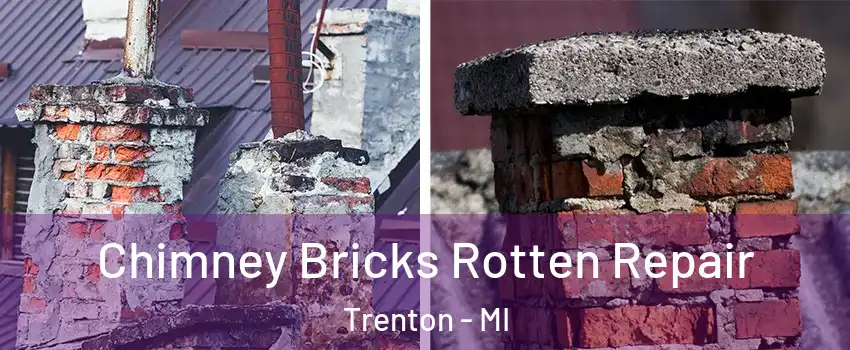  Chimney Bricks Rotten Repair Trenton - MI
