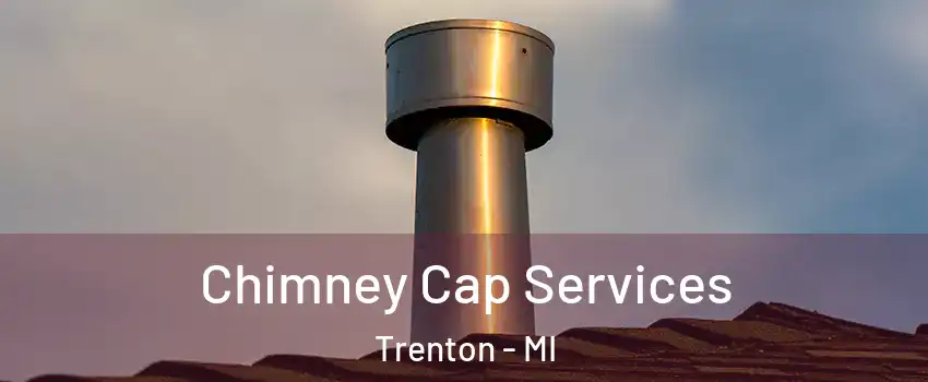  Chimney Cap Services Trenton - MI