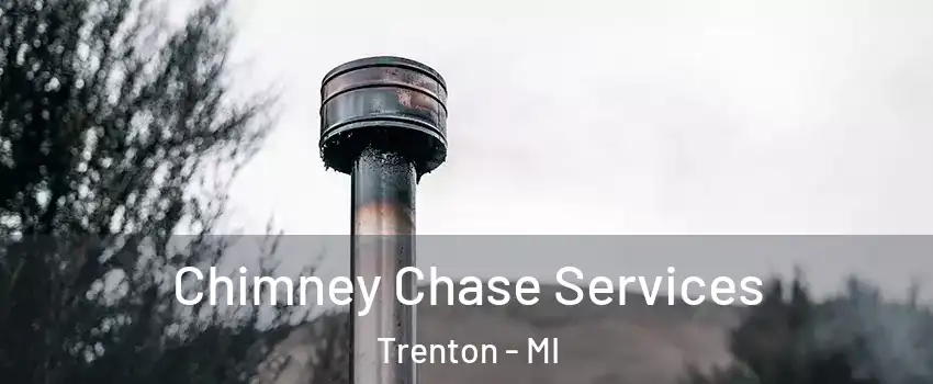  Chimney Chase Services Trenton - MI
