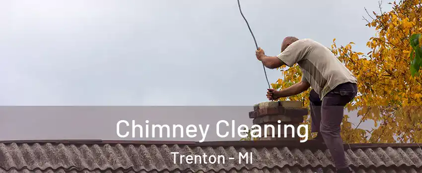  Chimney Cleaning Trenton - MI