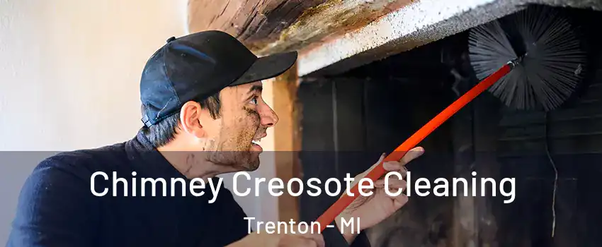  Chimney Creosote Cleaning Trenton - MI