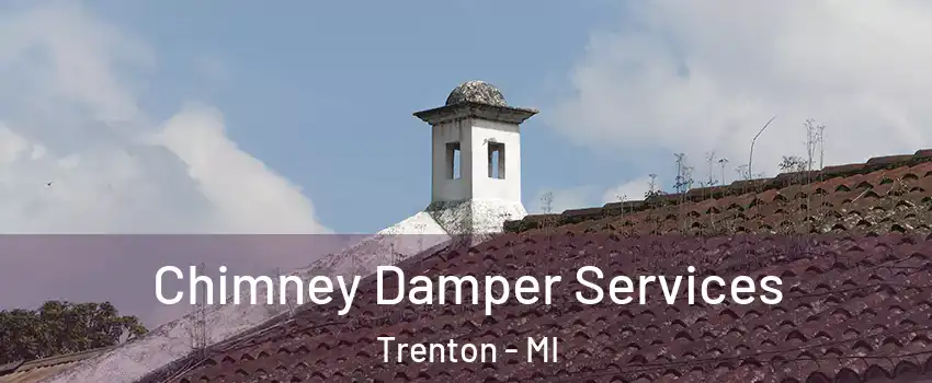  Chimney Damper Services Trenton - MI