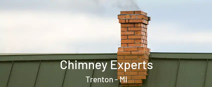  Chimney Experts Trenton - MI