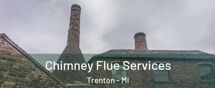  Chimney Flue Services Trenton - MI