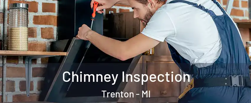  Chimney Inspection Trenton - MI