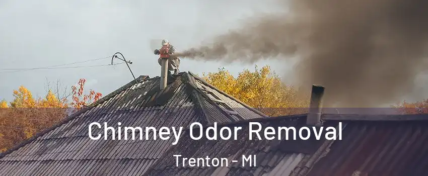  Chimney Odor Removal Trenton - MI