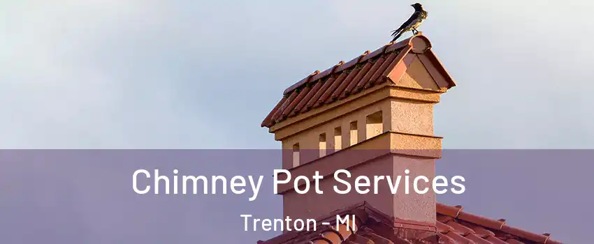  Chimney Pot Services Trenton - MI