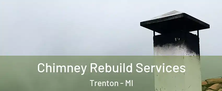 Chimney Rebuild Services Trenton - MI
