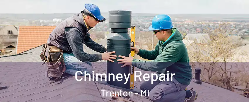  Chimney Repair Trenton - MI