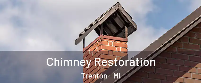  Chimney Restoration Trenton - MI