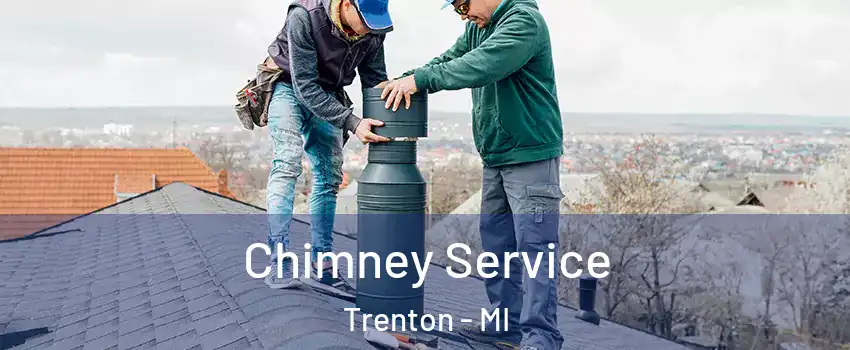  Chimney Service Trenton - MI