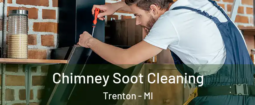  Chimney Soot Cleaning Trenton - MI