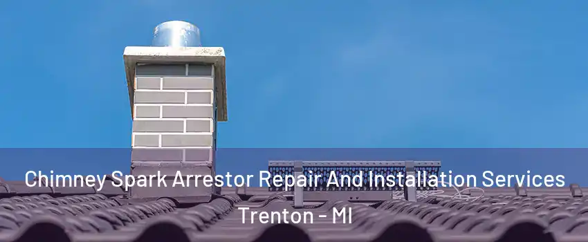  Chimney Spark Arrestor Repair And Installation Services Trenton - MI