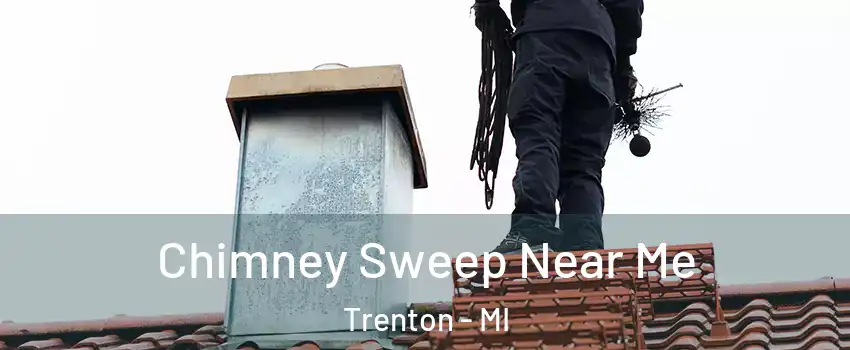  Chimney Sweep Near Me Trenton - MI