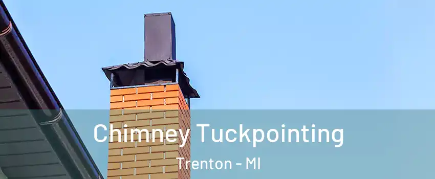  Chimney Tuckpointing Trenton - MI