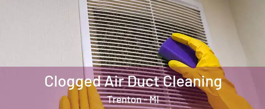  Clogged Air Duct Cleaning Trenton - MI