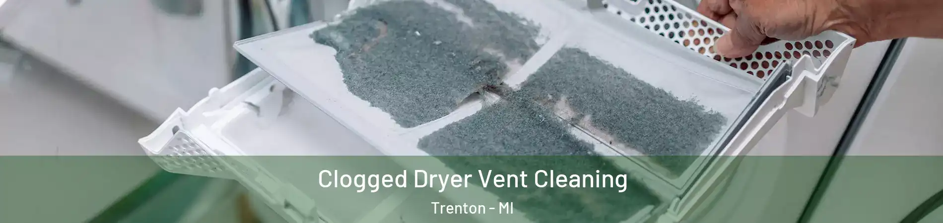  Clogged Dryer Vent Cleaning Trenton - MI
