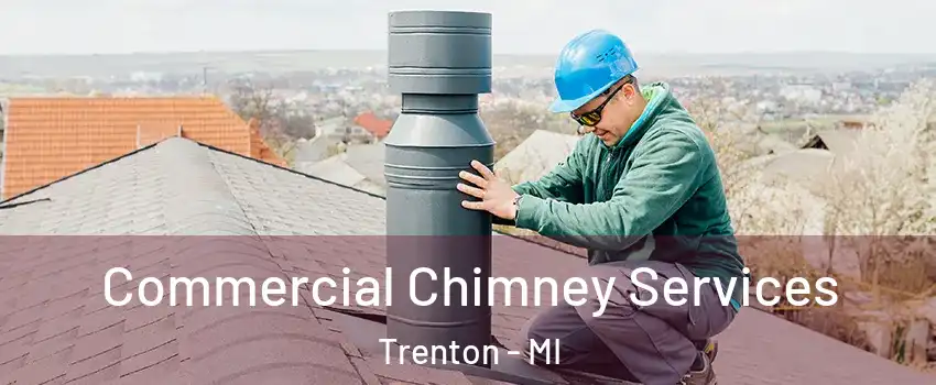  Commercial Chimney Services Trenton - MI