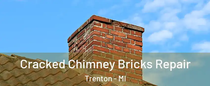  Cracked Chimney Bricks Repair Trenton - MI