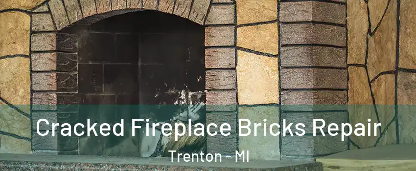  Cracked Fireplace Bricks Repair Trenton - MI