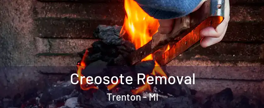  Creosote Removal Trenton - MI