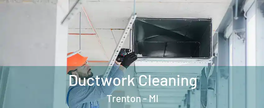  Ductwork Cleaning Trenton - MI