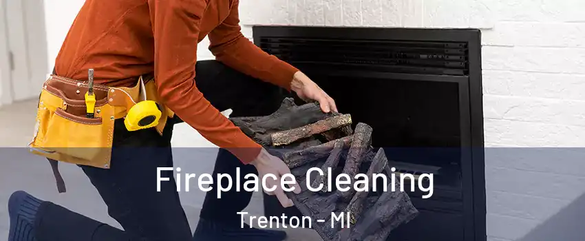  Fireplace Cleaning Trenton - MI
