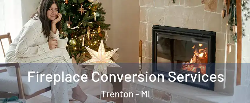  Fireplace Conversion Services Trenton - MI