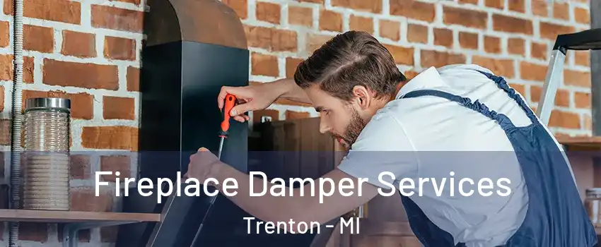  Fireplace Damper Services Trenton - MI