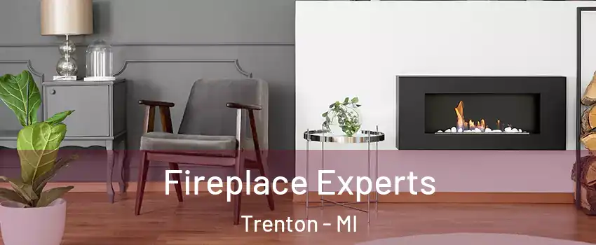  Fireplace Experts Trenton - MI