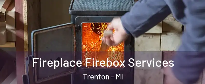  Fireplace Firebox Services Trenton - MI