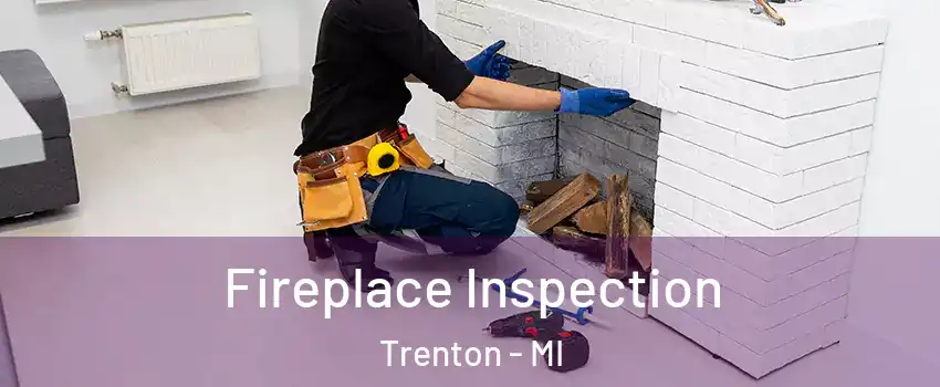  Fireplace Inspection Trenton - MI