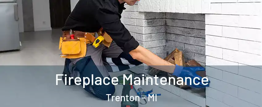  Fireplace Maintenance Trenton - MI