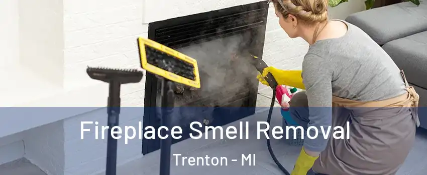  Fireplace Smell Removal Trenton - MI