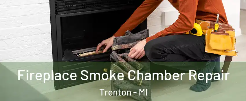  Fireplace Smoke Chamber Repair Trenton - MI