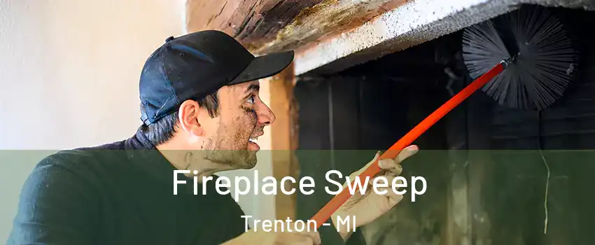  Fireplace Sweep Trenton - MI