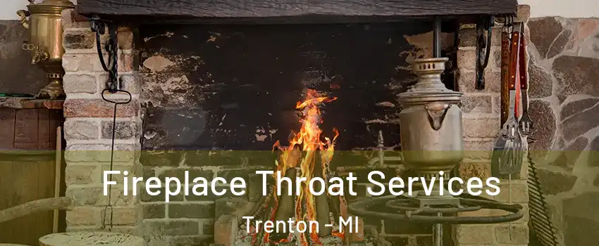  Fireplace Throat Services Trenton - MI