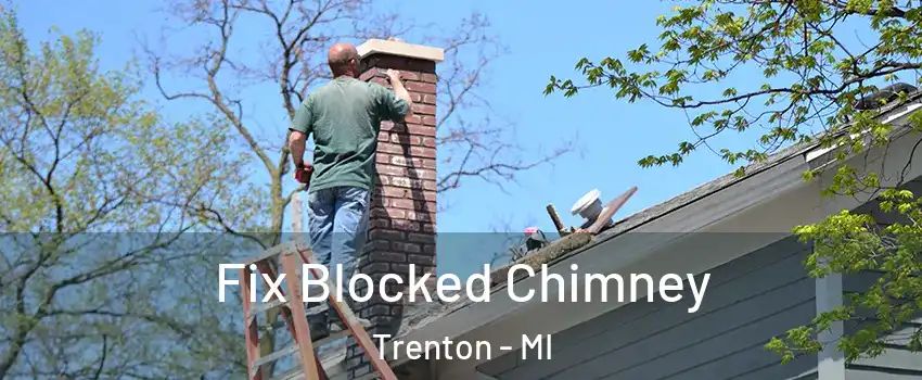  Fix Blocked Chimney Trenton - MI