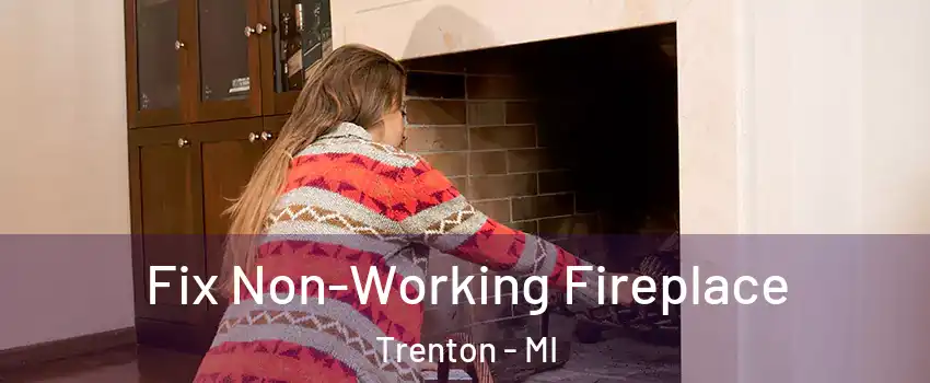  Fix Non-Working Fireplace Trenton - MI