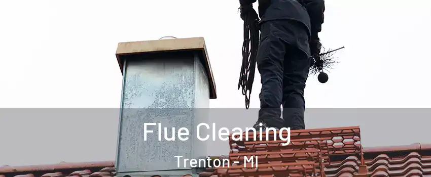  Flue Cleaning Trenton - MI