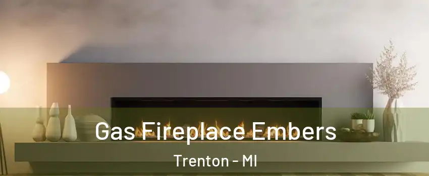  Gas Fireplace Embers Trenton - MI