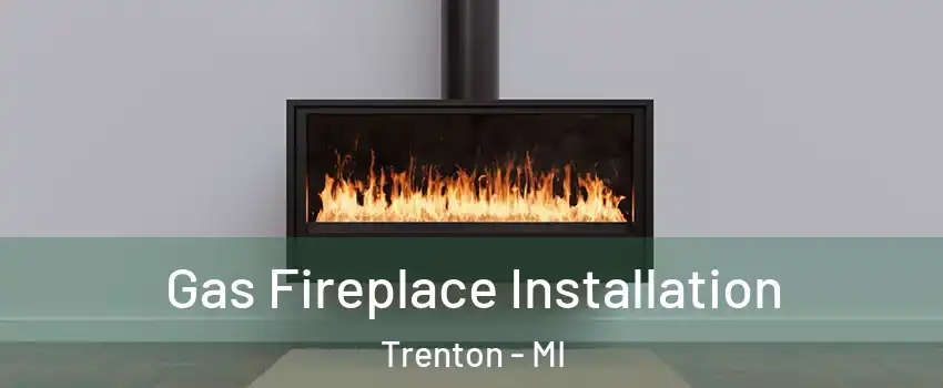  Gas Fireplace Installation Trenton - MI
