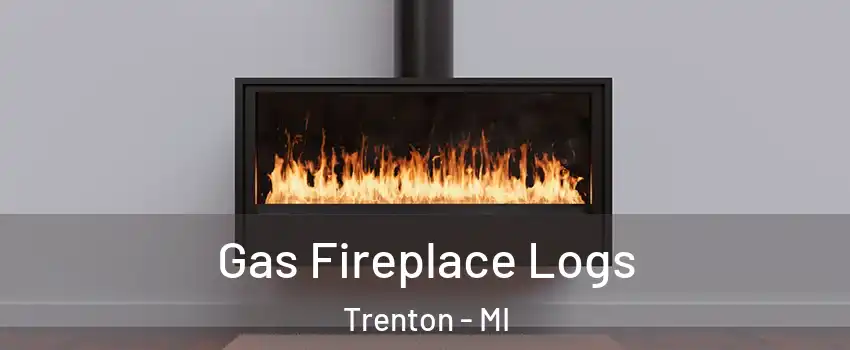  Gas Fireplace Logs Trenton - MI